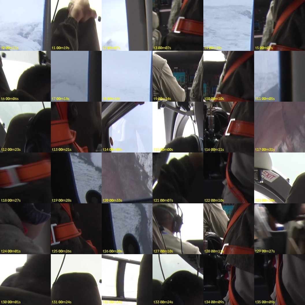 montage_00.jpg