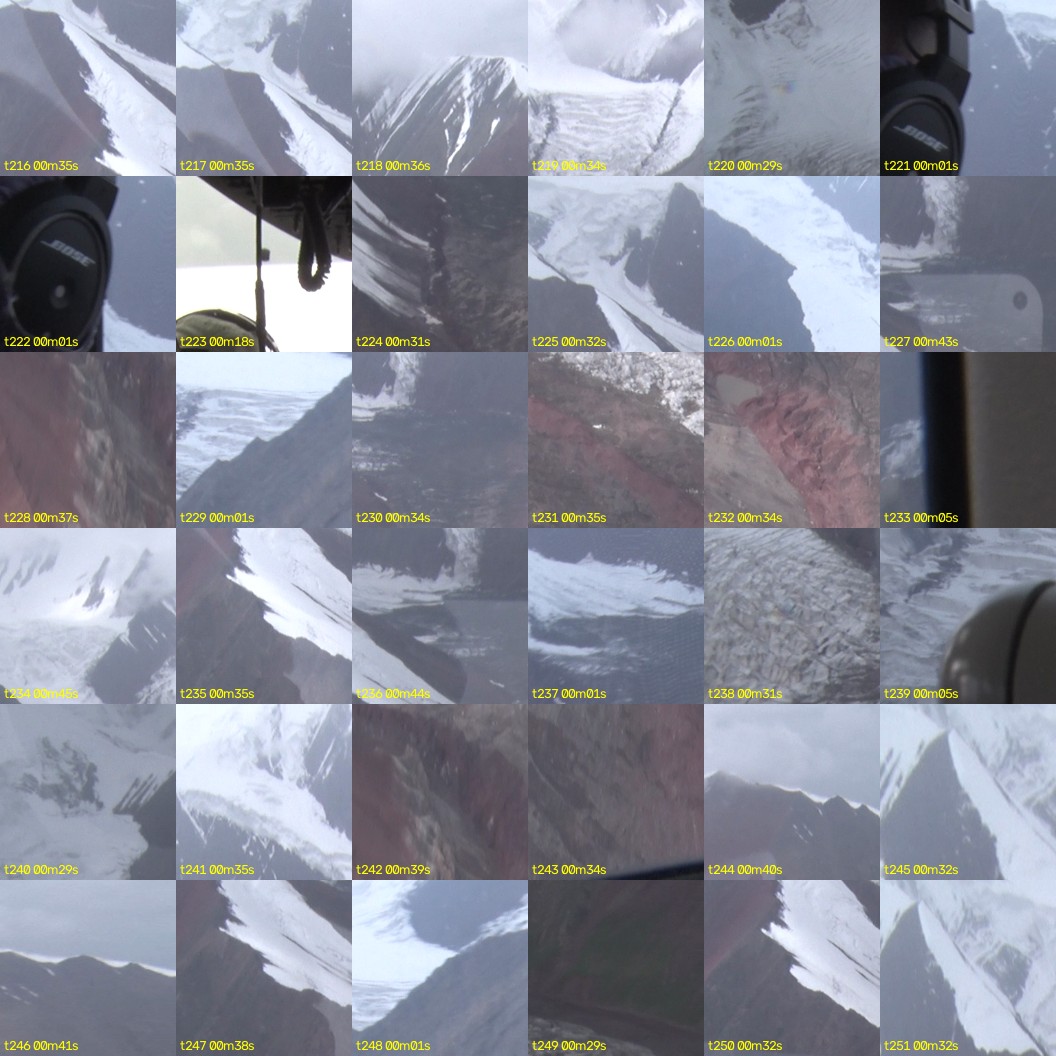 montage_06.jpg
