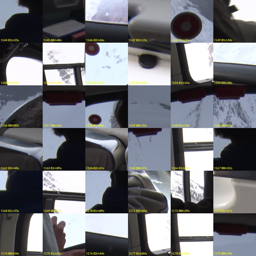montage_04.jpg