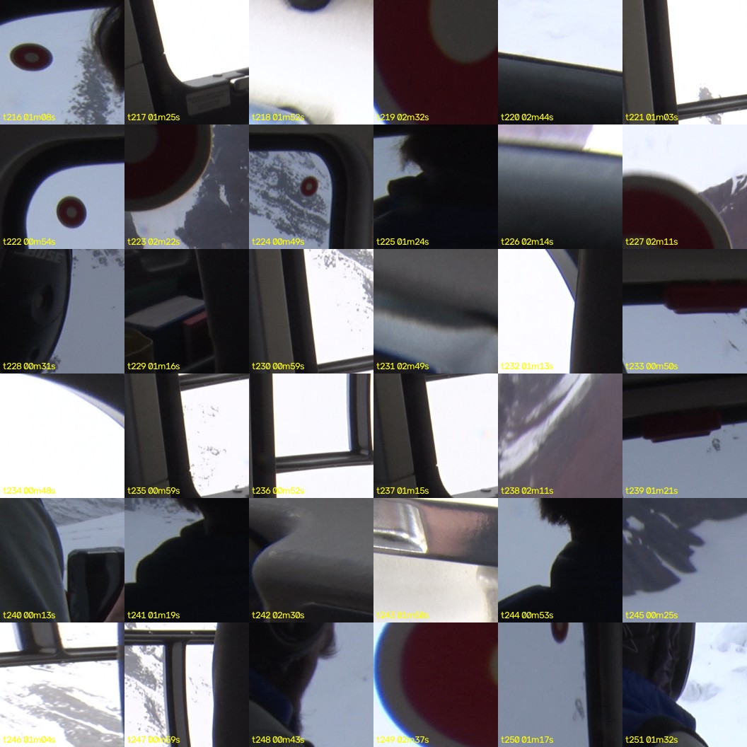 montage_06.jpg