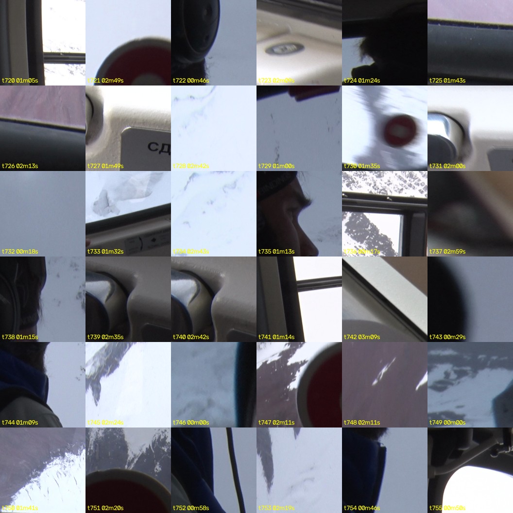 montage_20.jpg