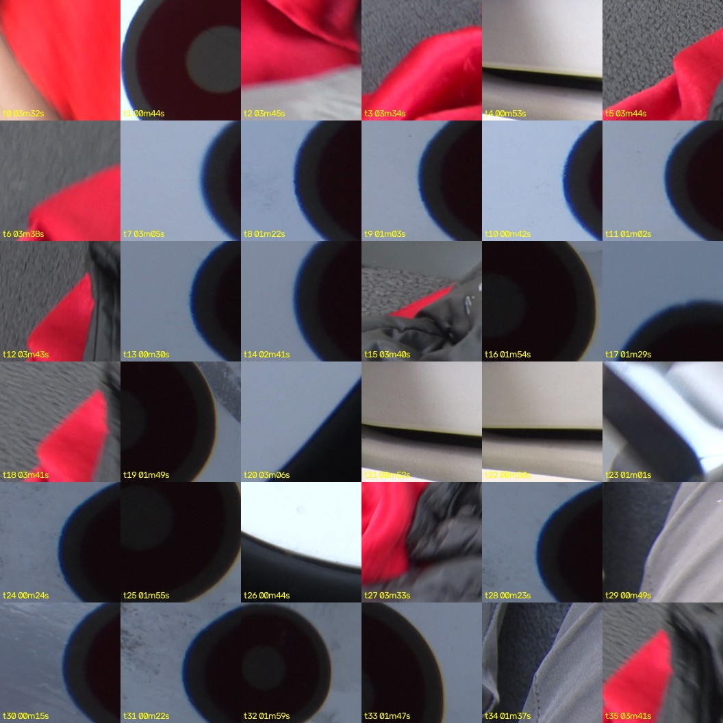 montage_00.jpg