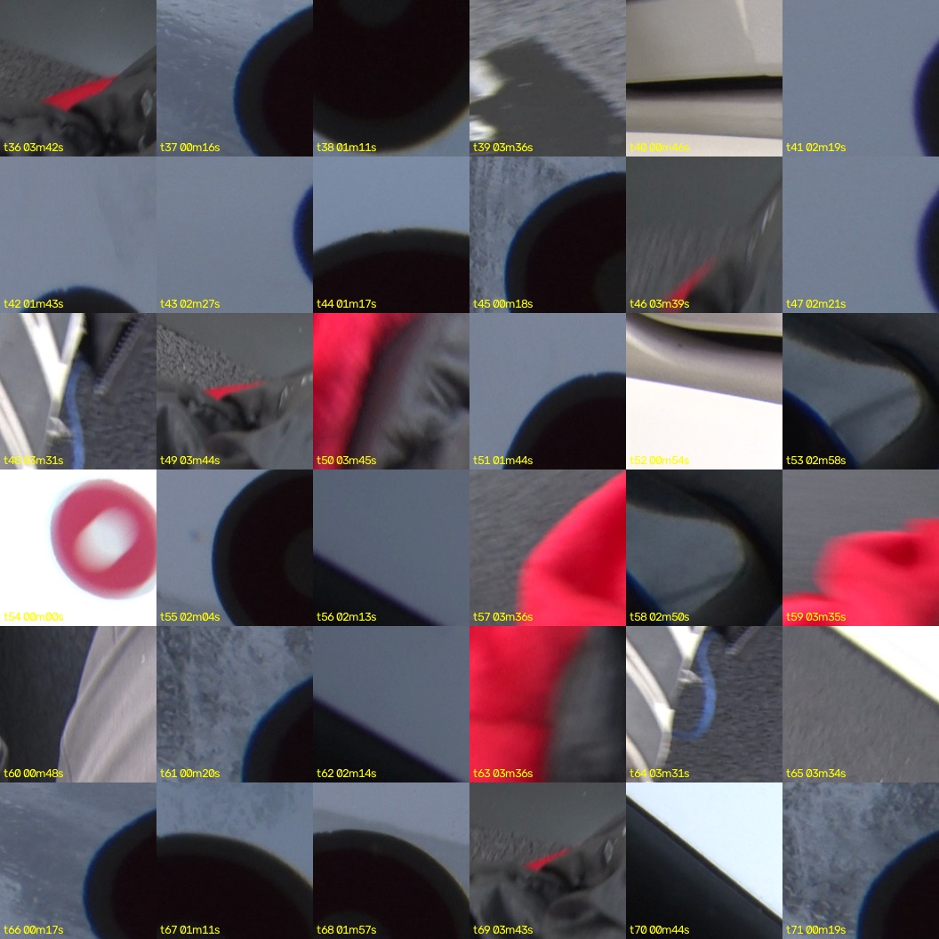 montage_01.jpg