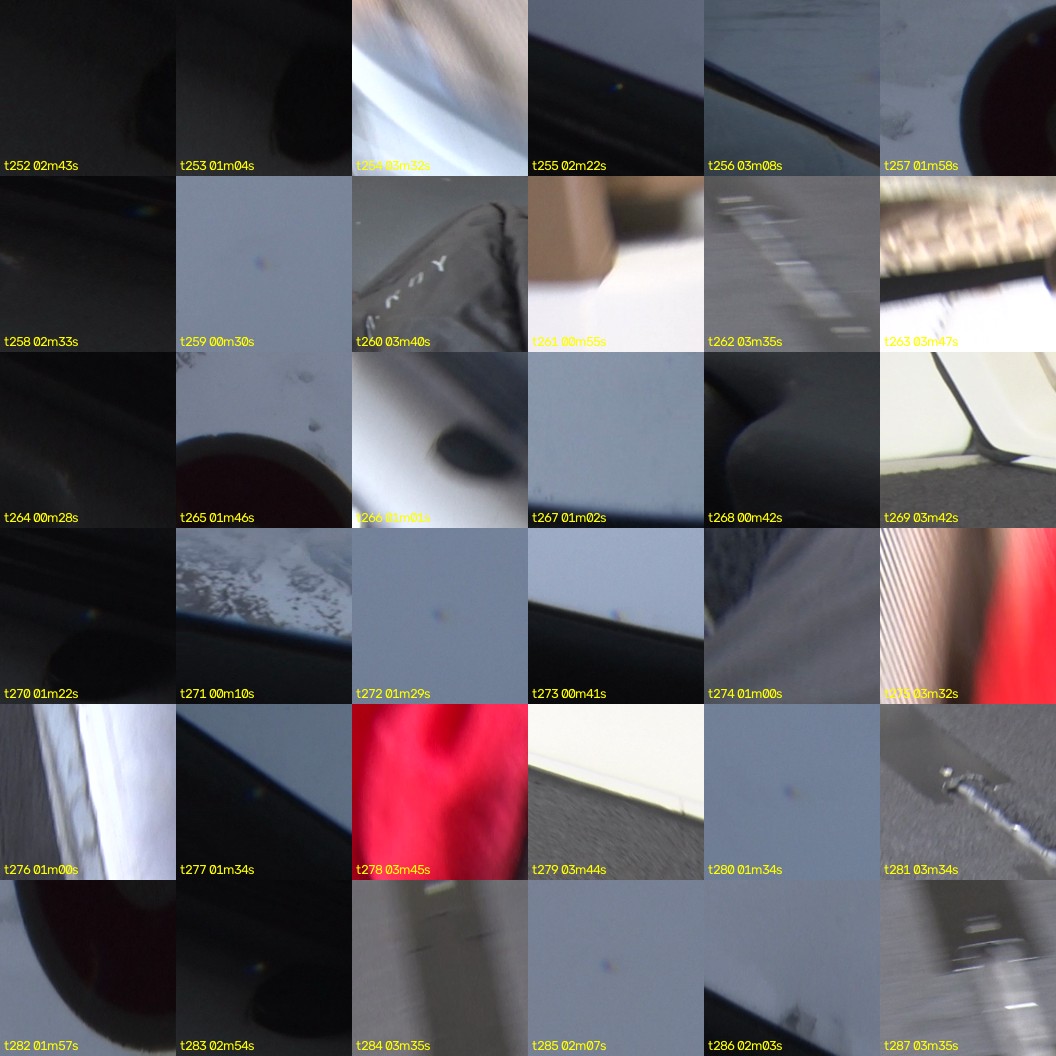 montage_07.jpg