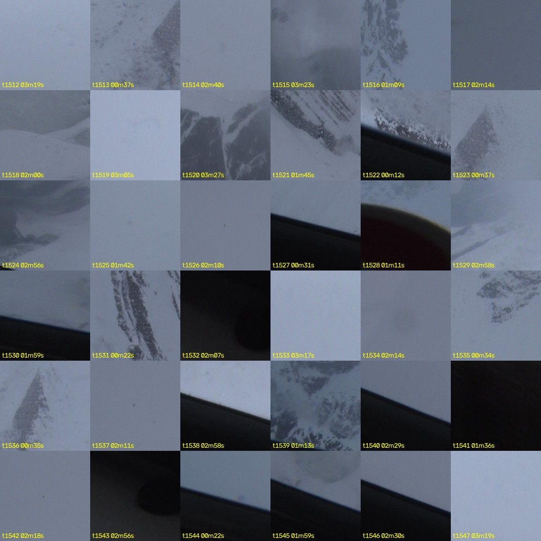 montage_42.jpg