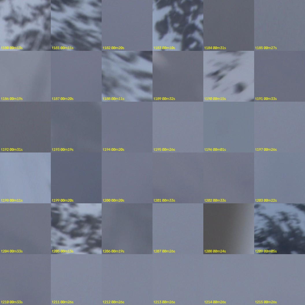 montage_05.jpg