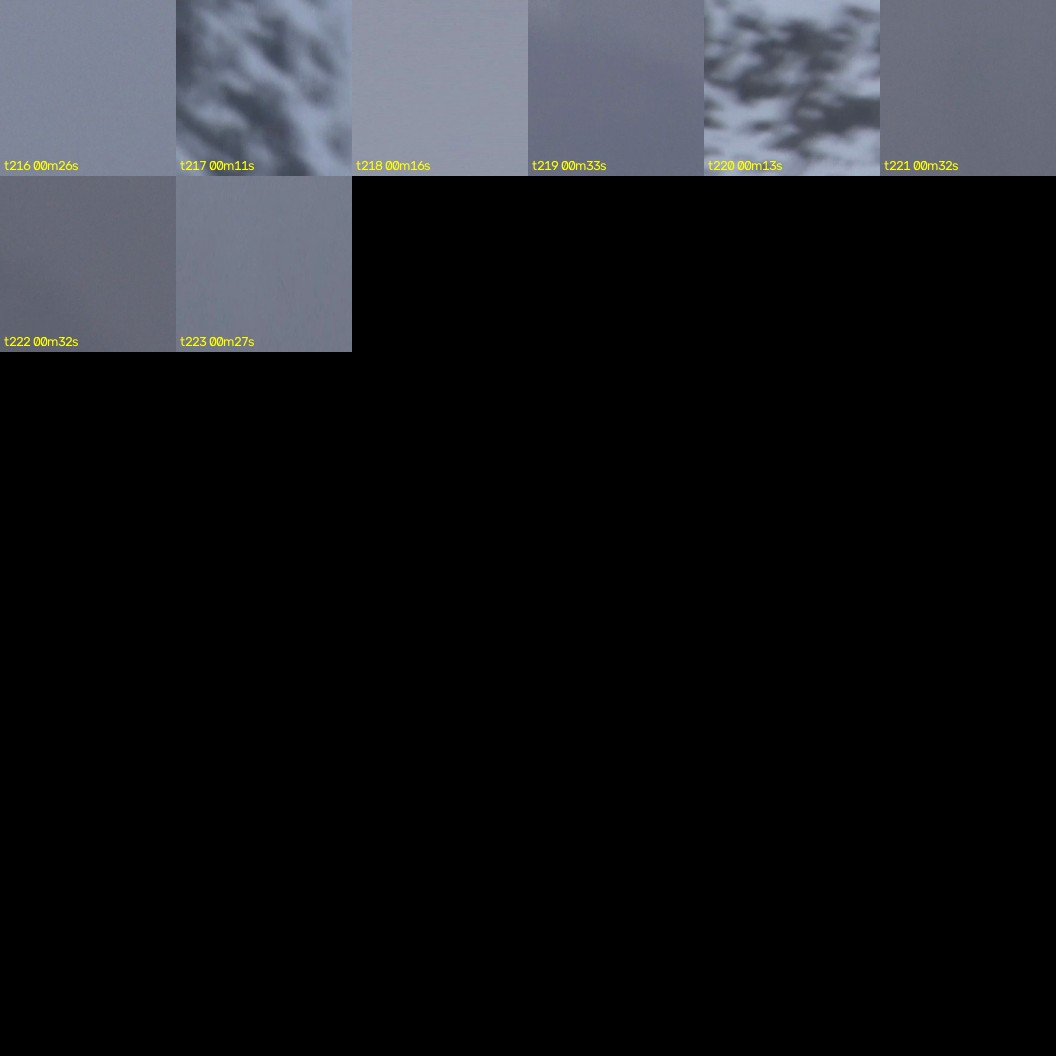 montage_06.jpg