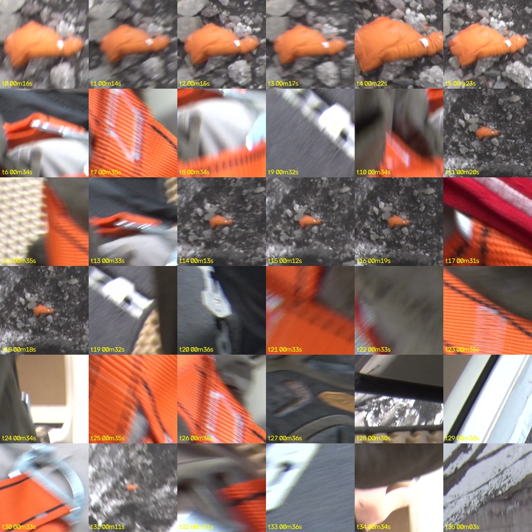 montage_00.jpg