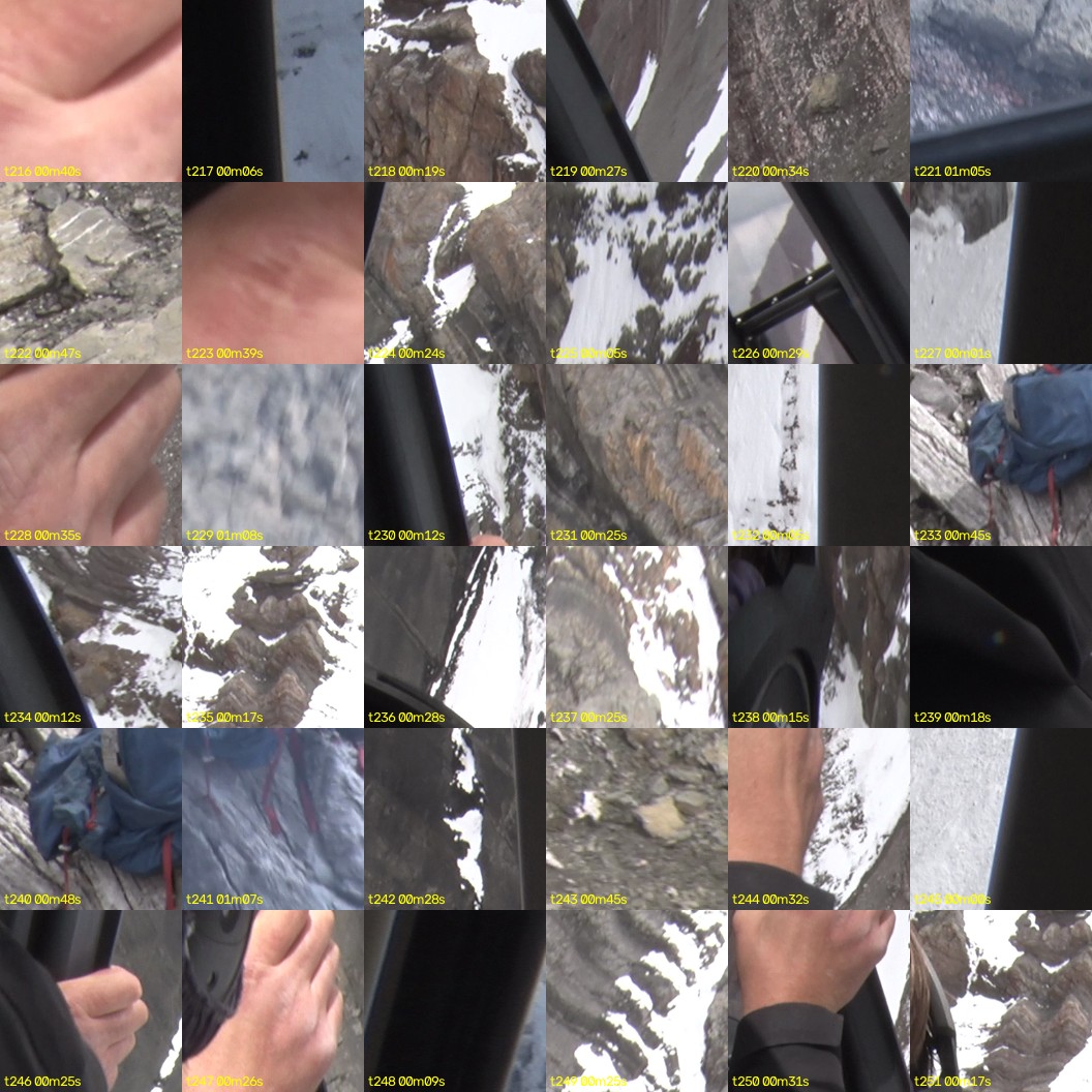 montage_06.jpg