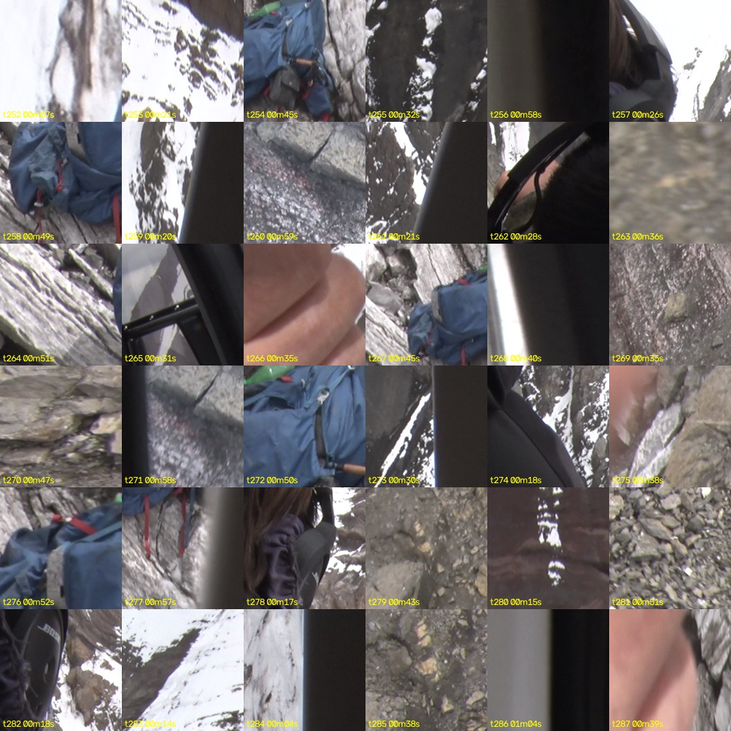 montage_07.jpg