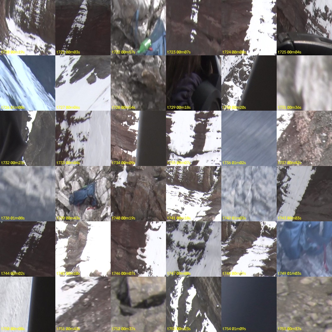 montage_20.jpg