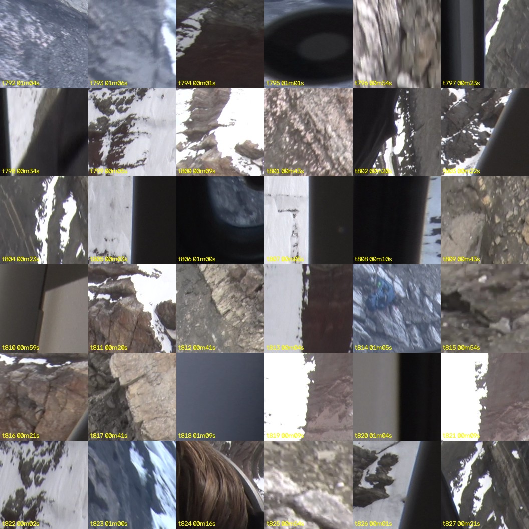montage_22.jpg