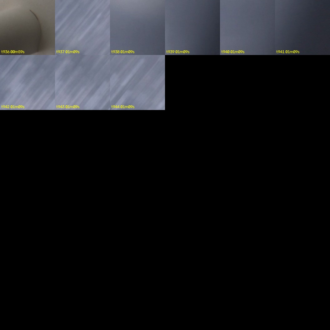 montage_26.jpg