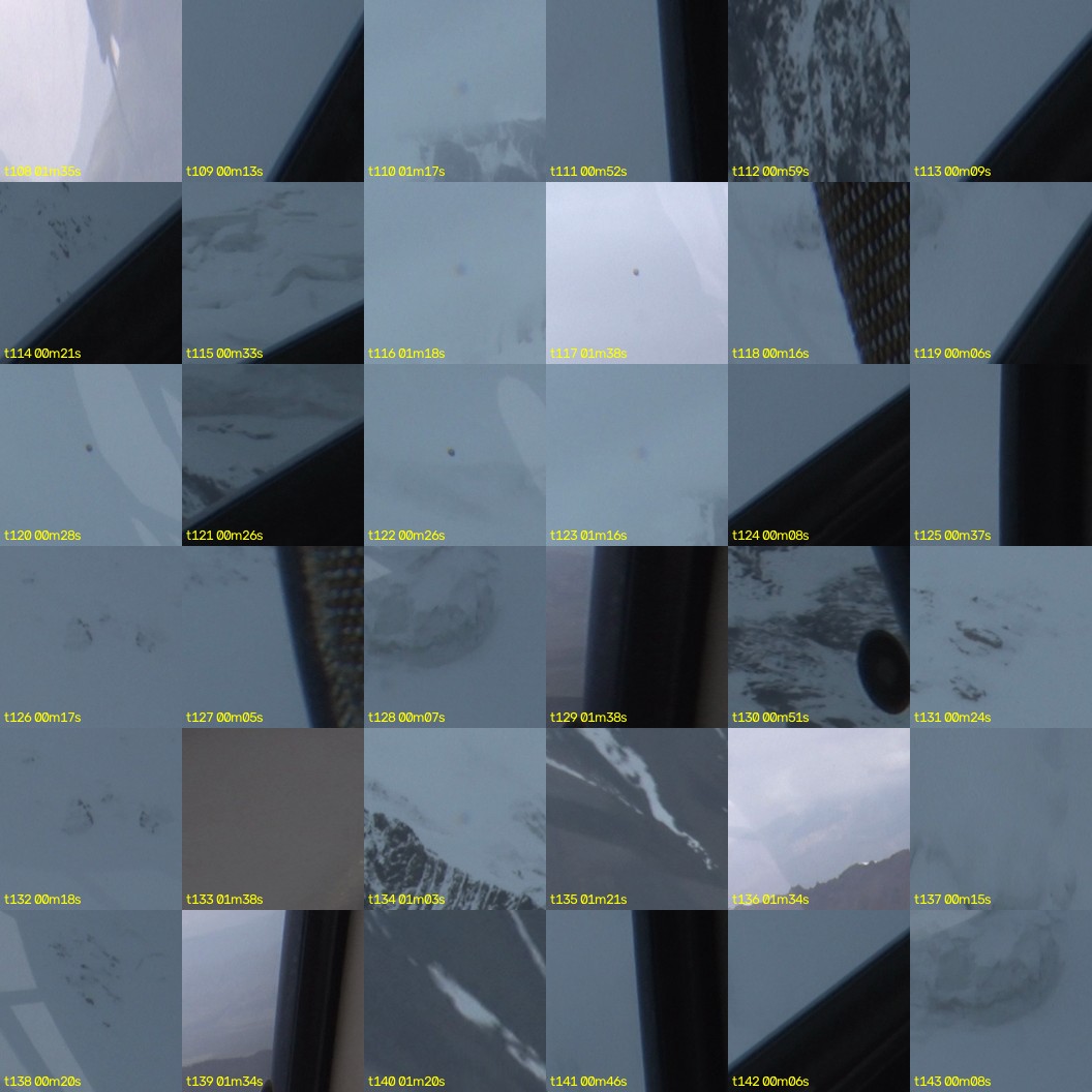 montage_03.jpg