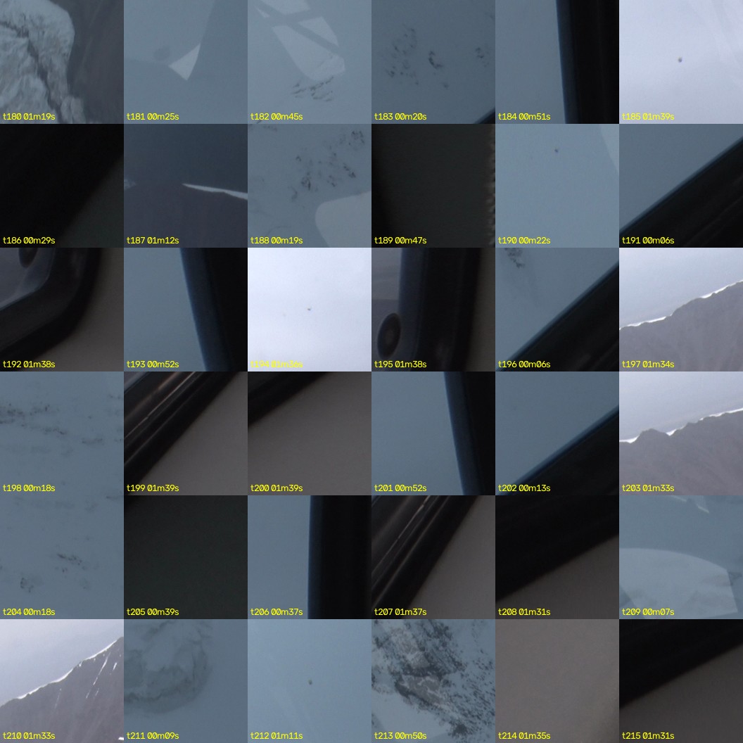 montage_05.jpg
