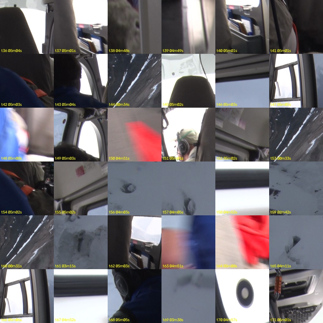 montage_01.jpg