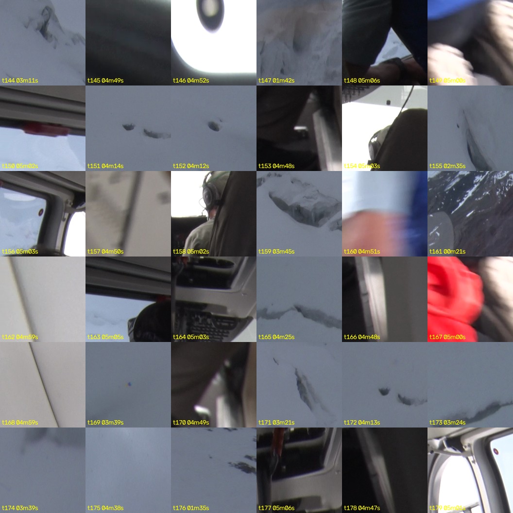 montage_04.jpg