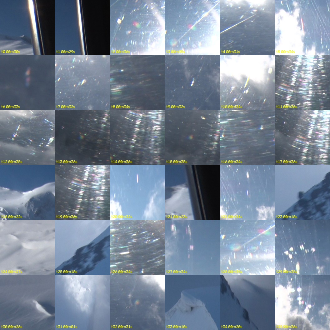 montage_00.jpg