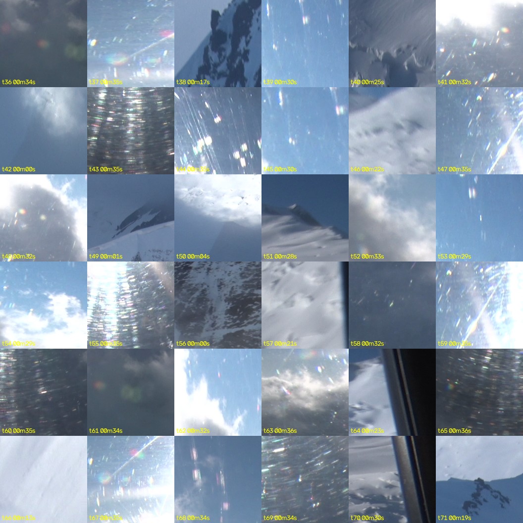 montage_01.jpg