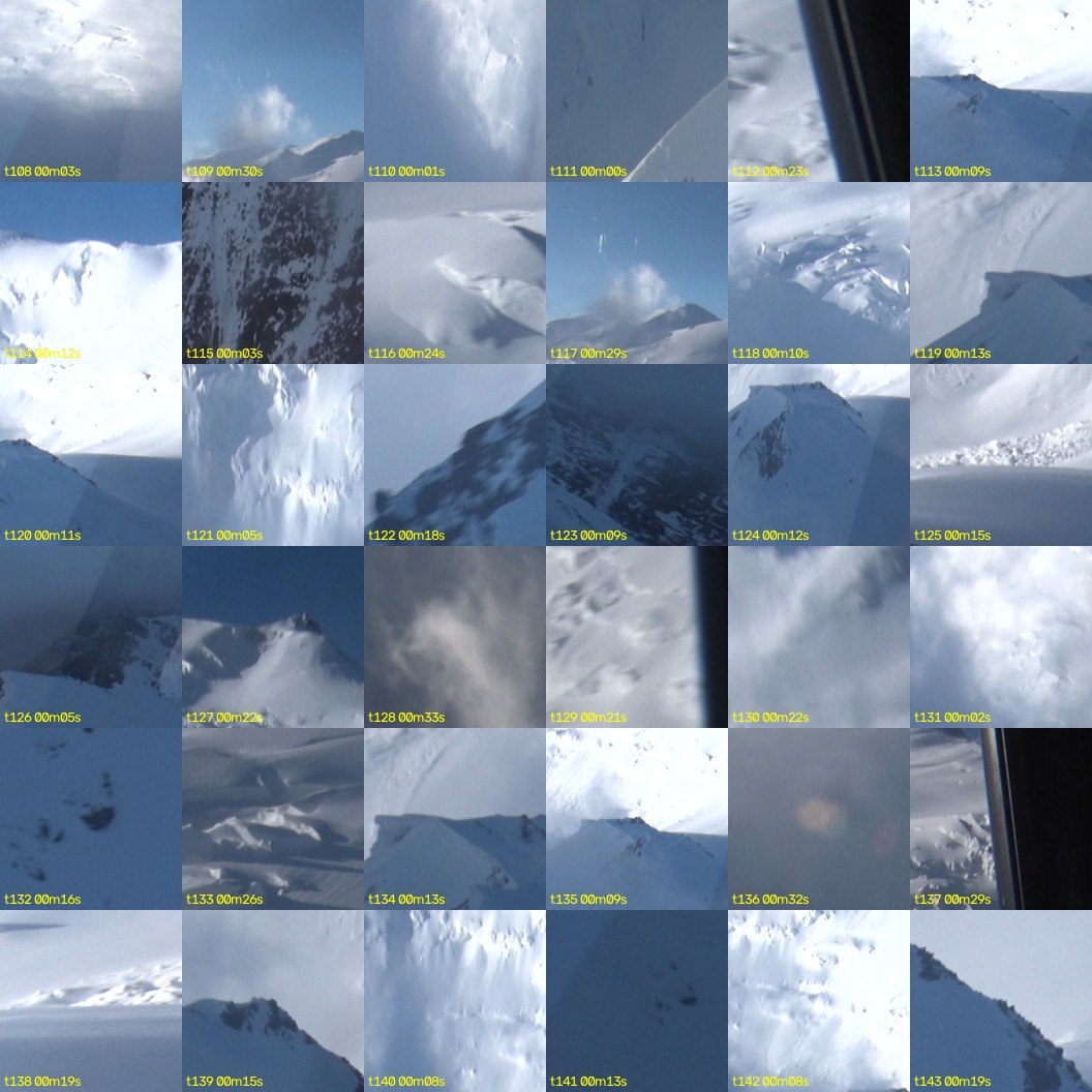 montage_03.jpg