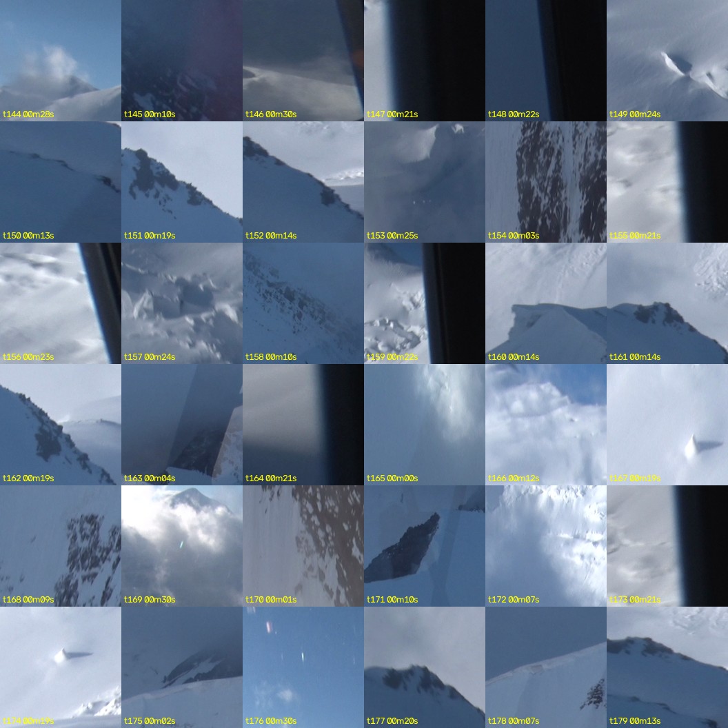 montage_04.jpg