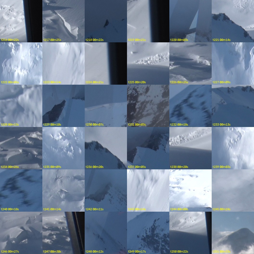 montage_06.jpg