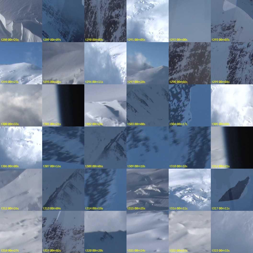 montage_08.jpg