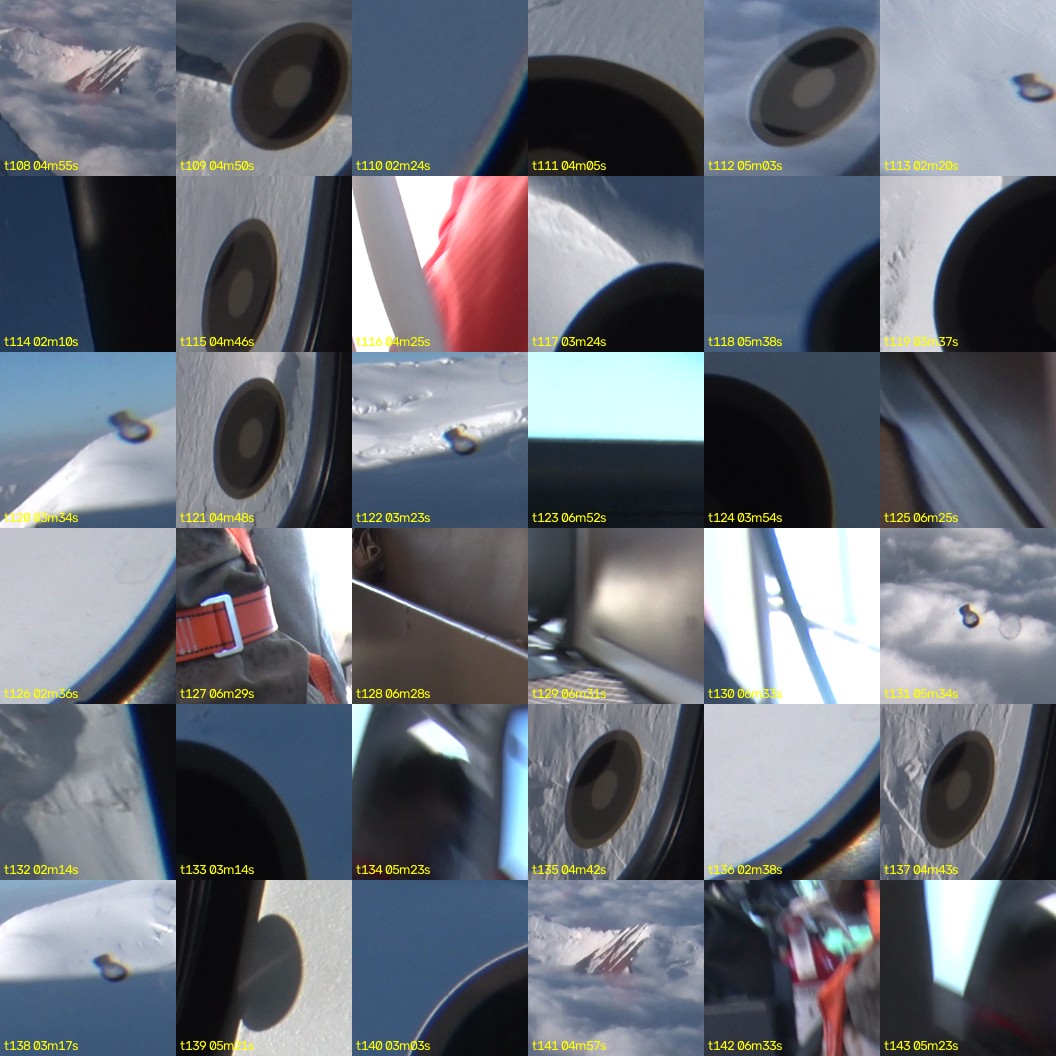 montage_03.jpg