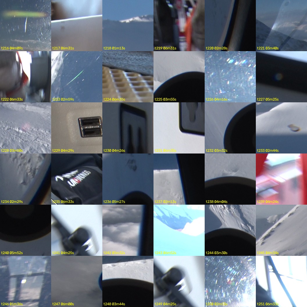 montage_06.jpg