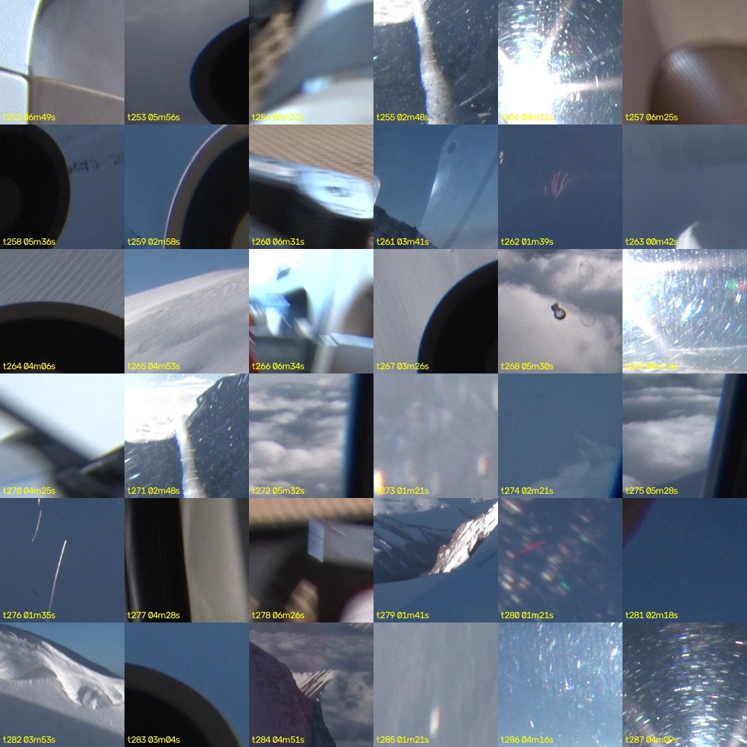 montage_07.jpg