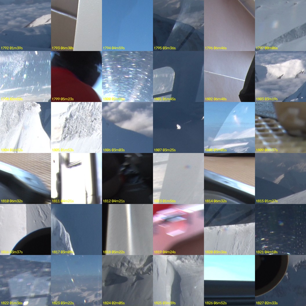 montage_22.jpg
