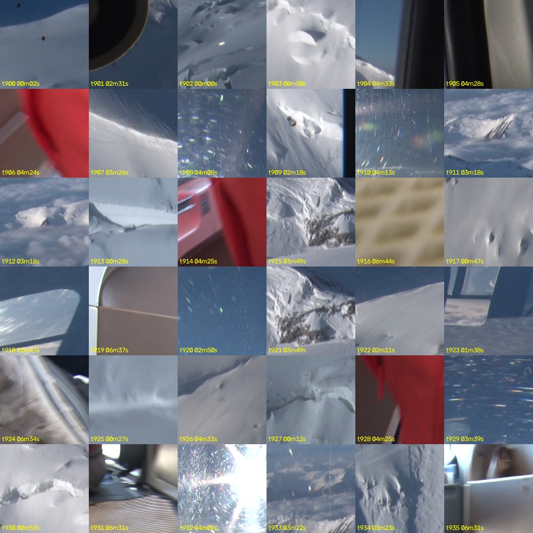 montage_25.jpg
