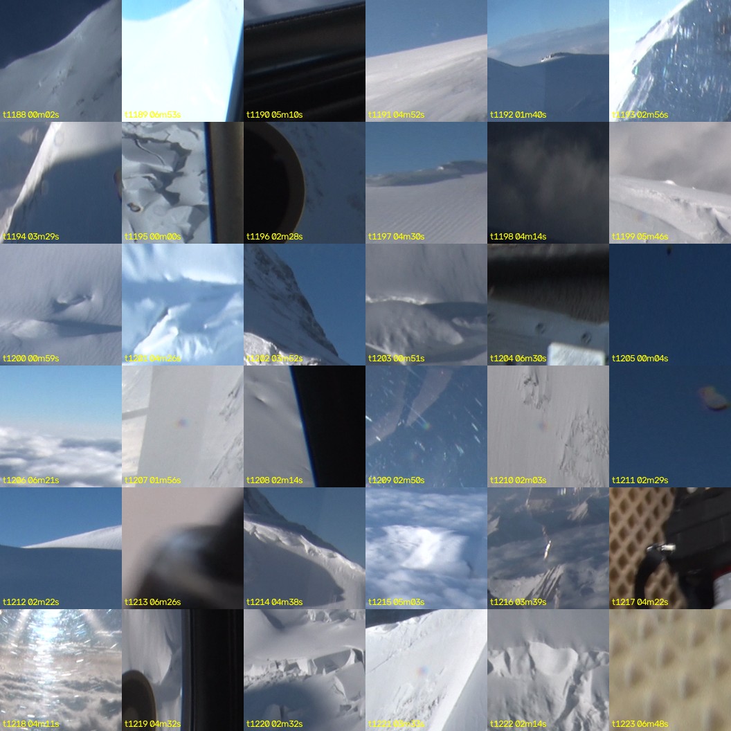 montage_33.jpg