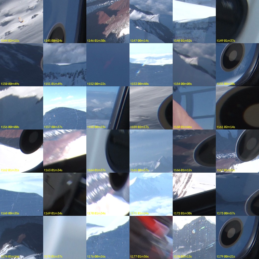 montage_04.jpg