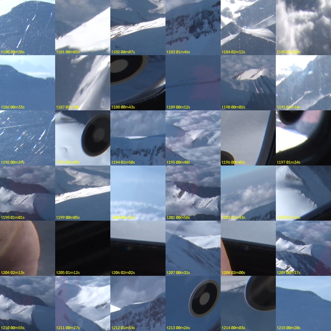 montage_05.jpg