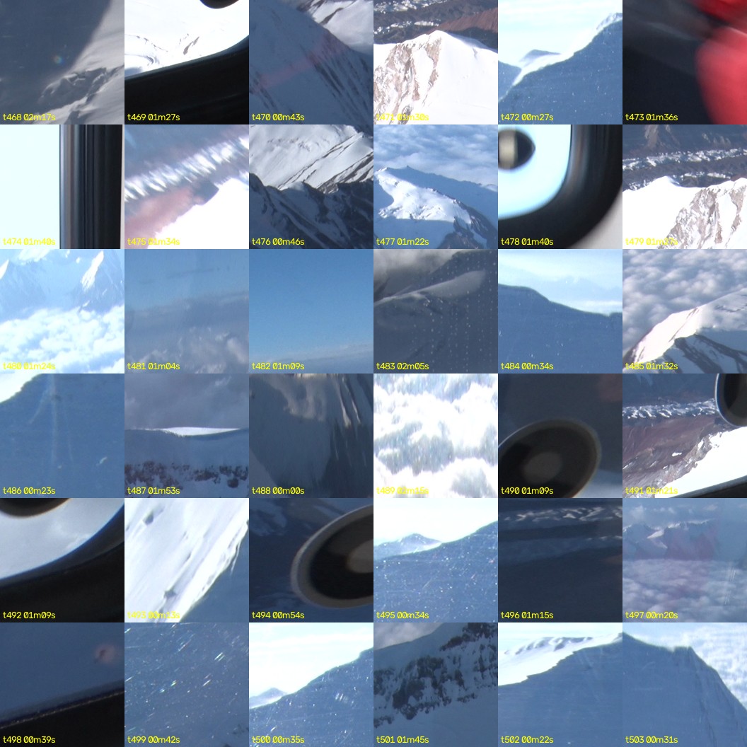 montage_13.jpg