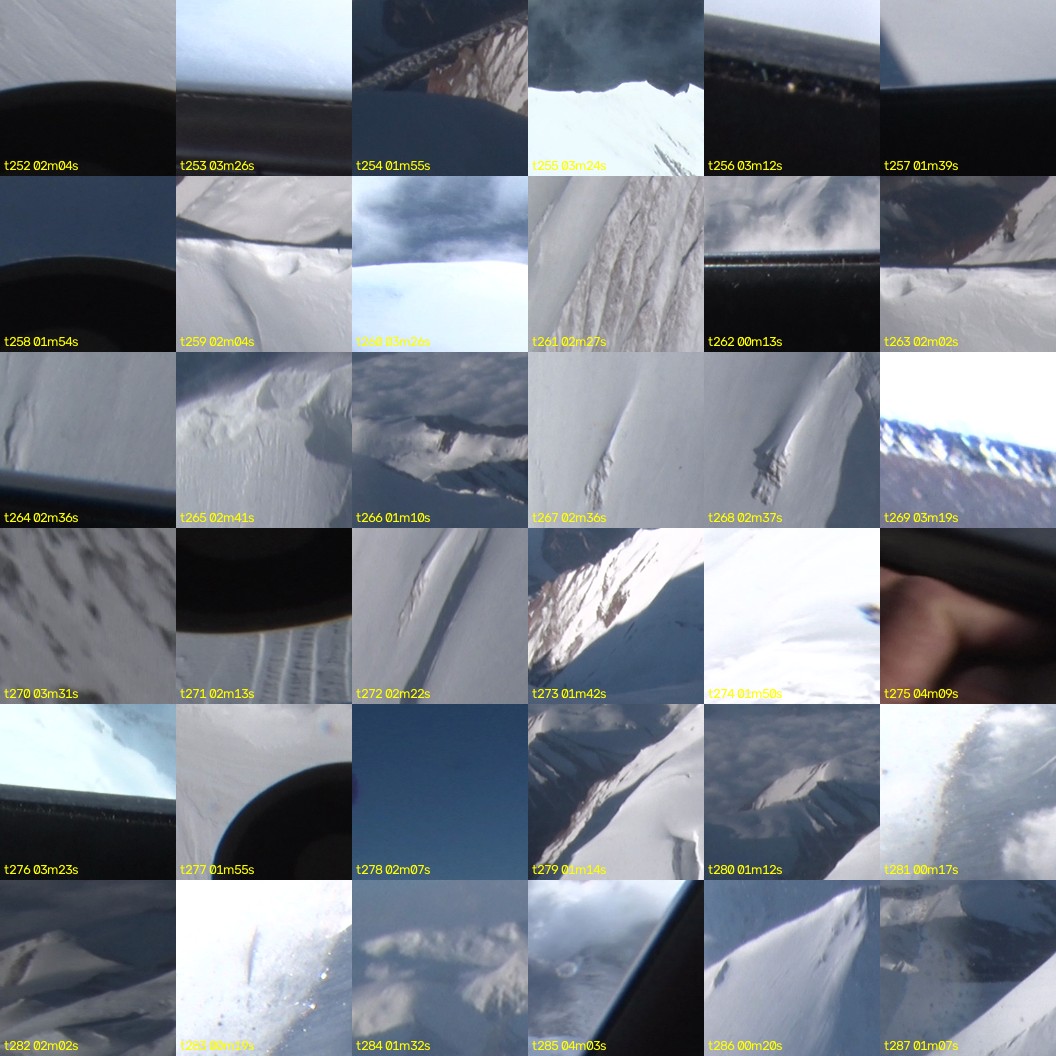 montage_07.jpg