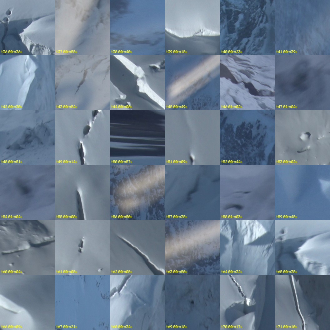 montage_01.jpg