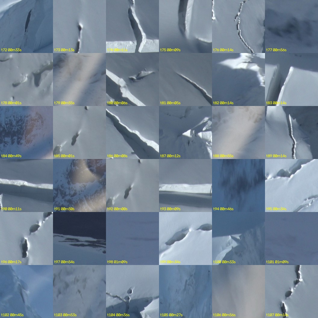montage_02.jpg