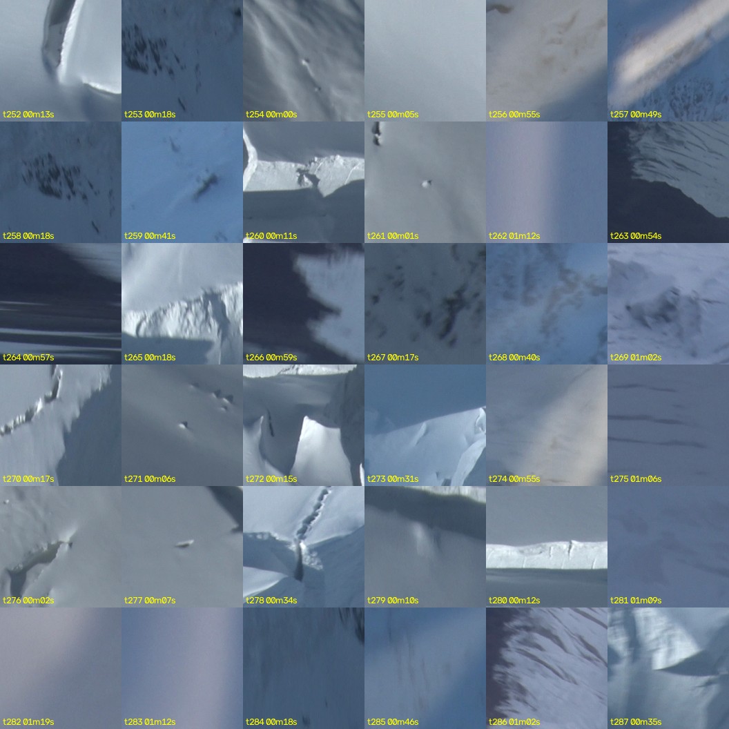 montage_07.jpg