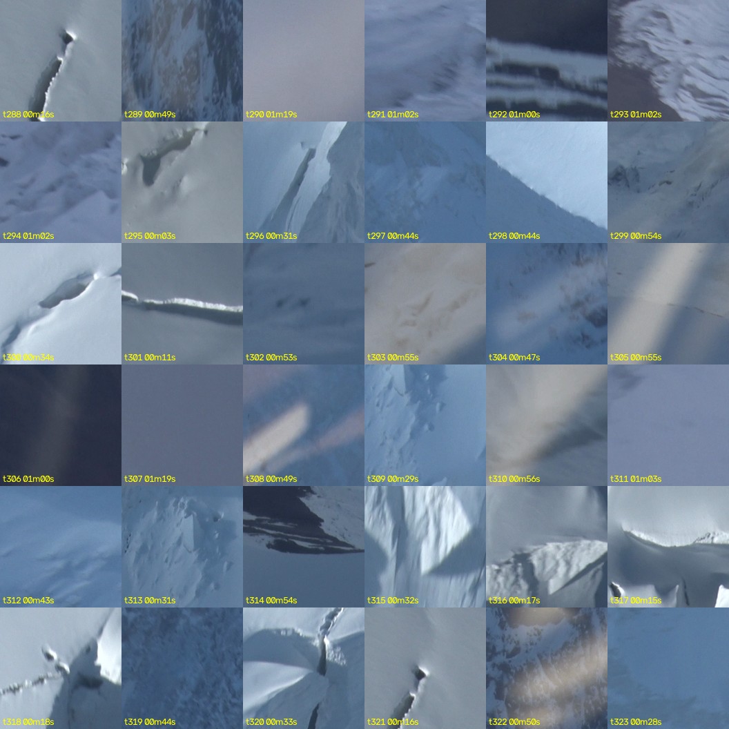 montage_08.jpg