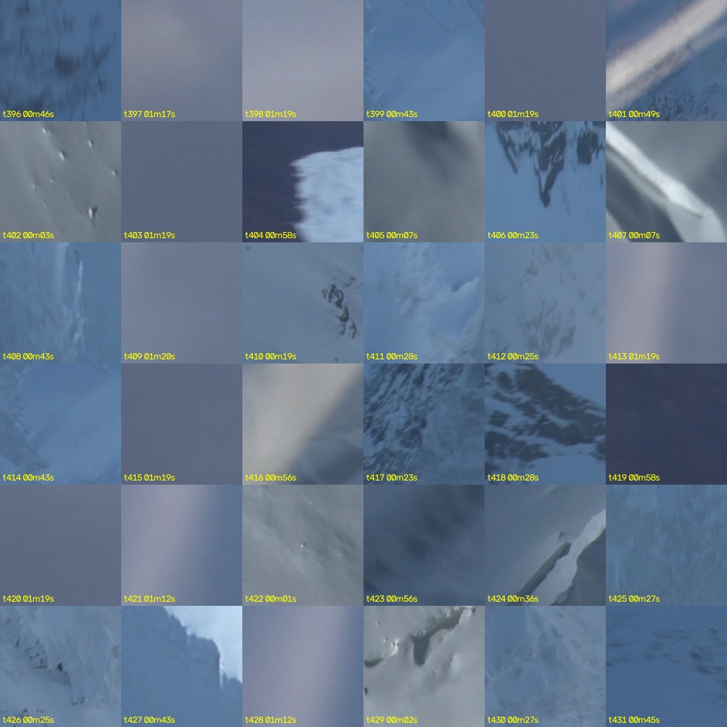 montage_11.jpg