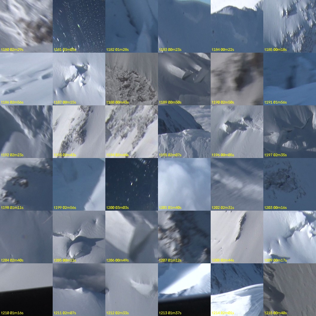 montage_05.jpg