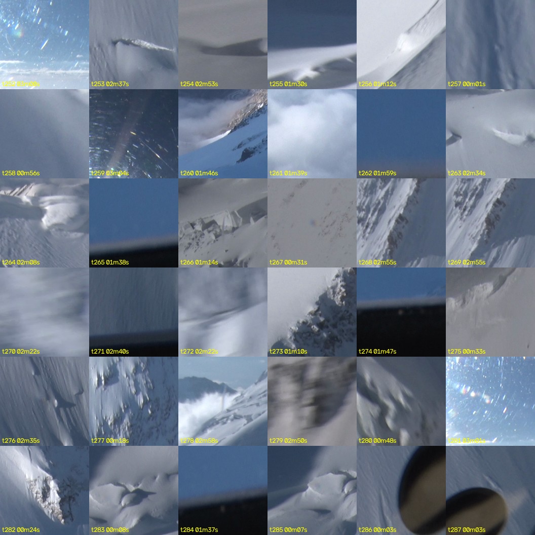 montage_07.jpg
