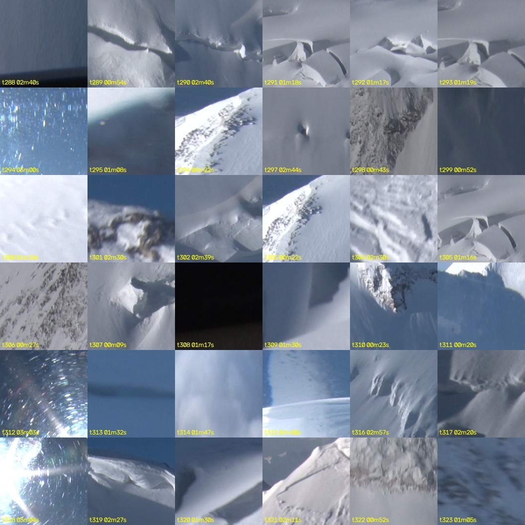 montage_08.jpg