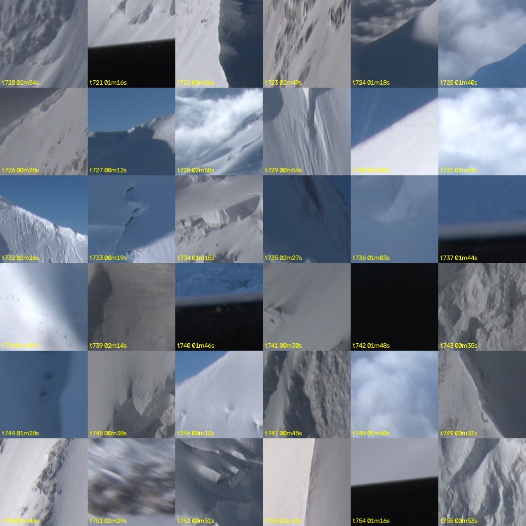 montage_20.jpg