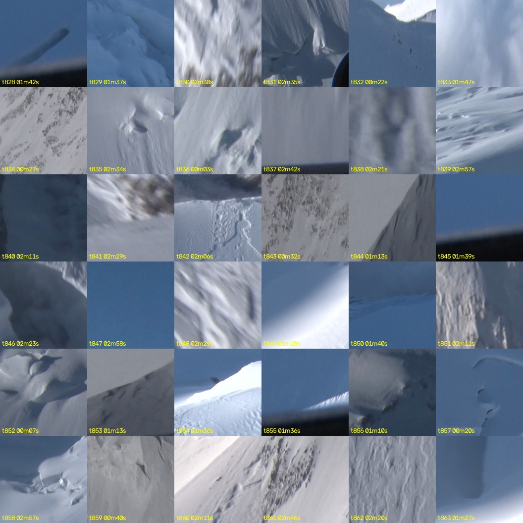 montage_23.jpg
