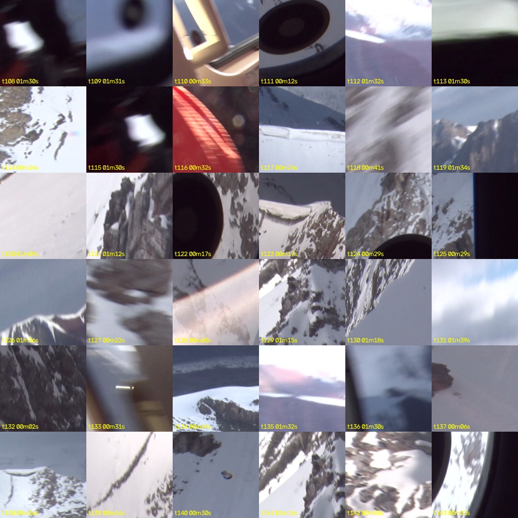 montage_03.jpg