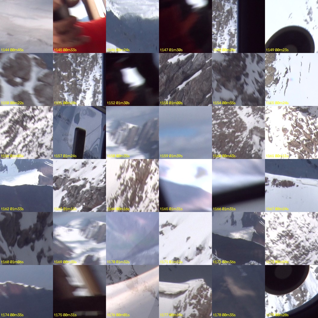 montage_04.jpg