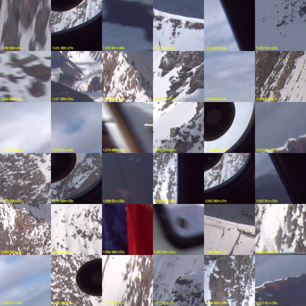 montage_05.jpg